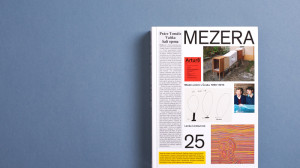 MEZERA Mladé umění v Česku 1990 – 2014